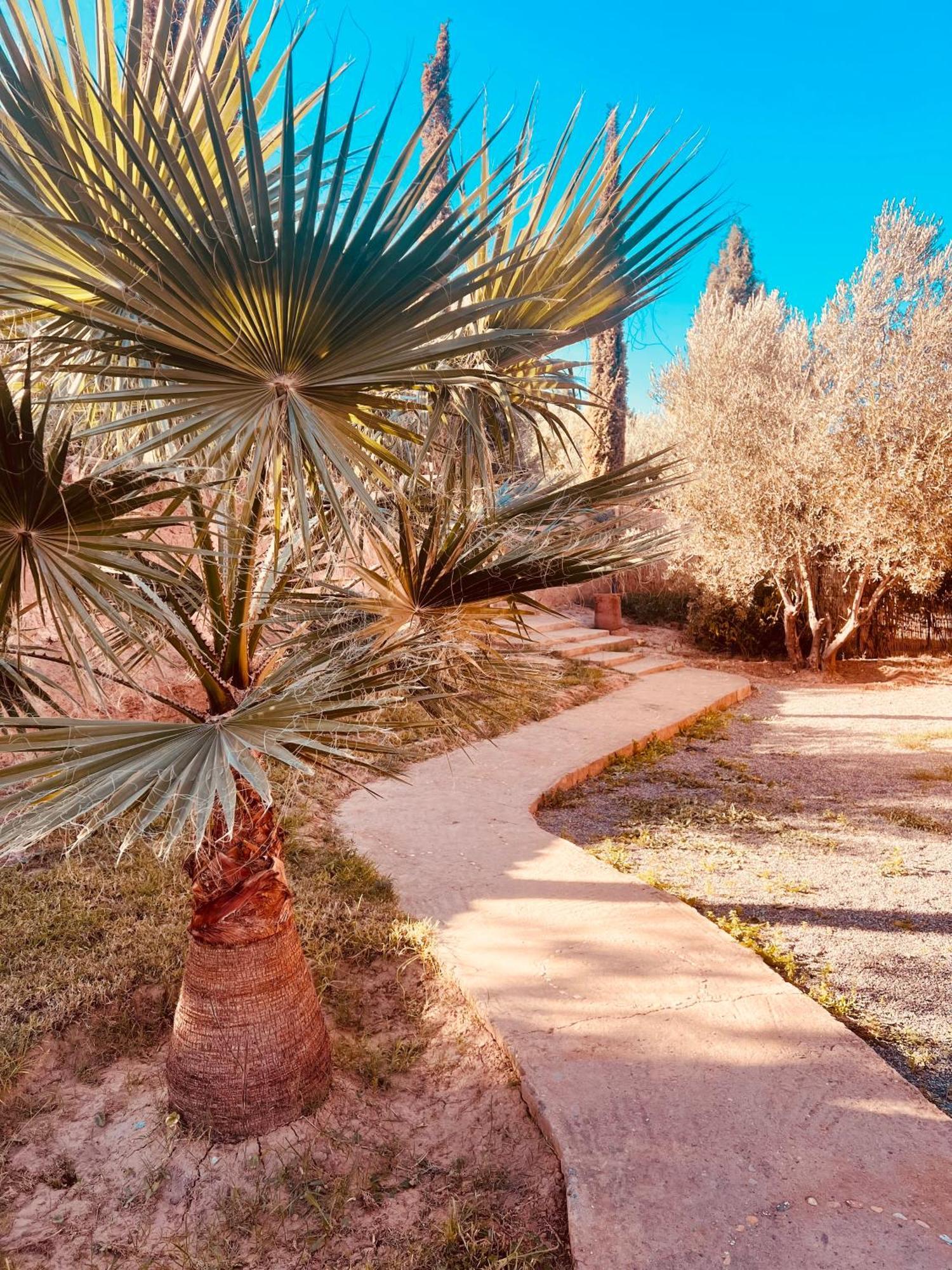 Edenatlas Chambres D'Hotes - Amizmiz מראה חיצוני תמונה